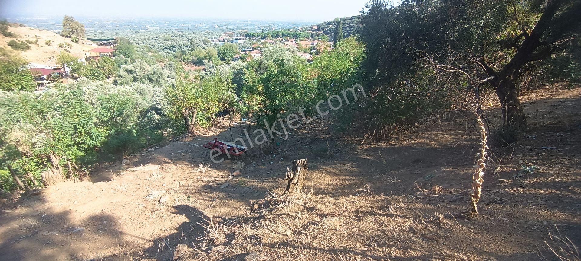 Ali Akdoğan Emlak Ofisinden Köy İçinde Satılık Avlulu Ev - Görsel 4