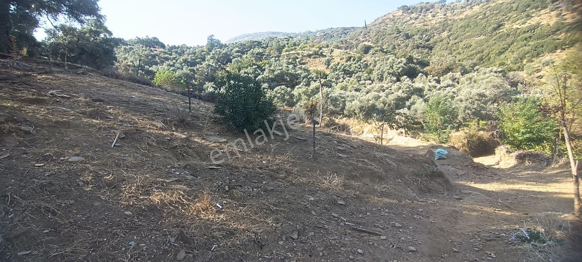 Ali Akdoğan Emlak Ofisinden Köy İçinde Satılık Avlulu Ev - Görsel 20