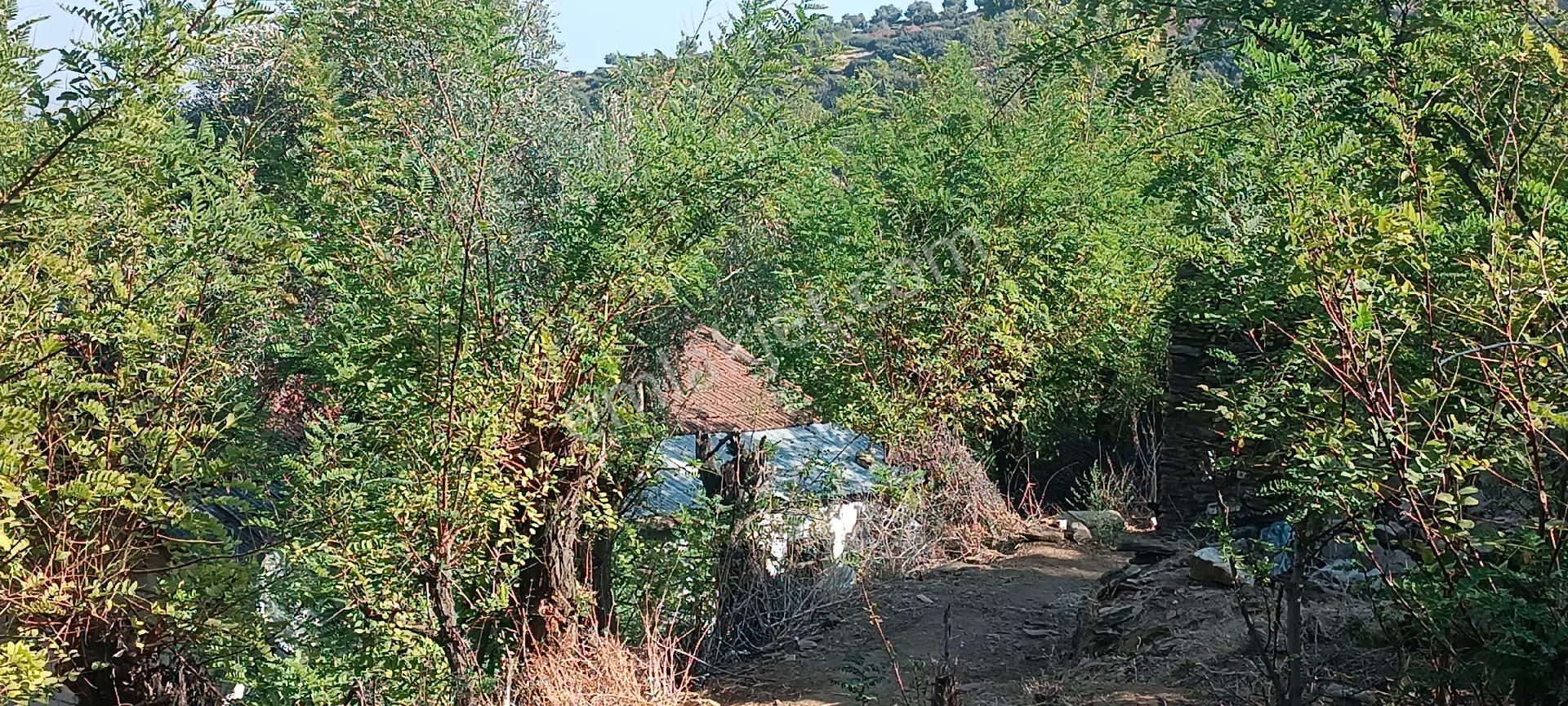 Ali Akdoğan Emlak Ofisinden Köy İçinde Satılık Avlulu Ev - Görsel 12