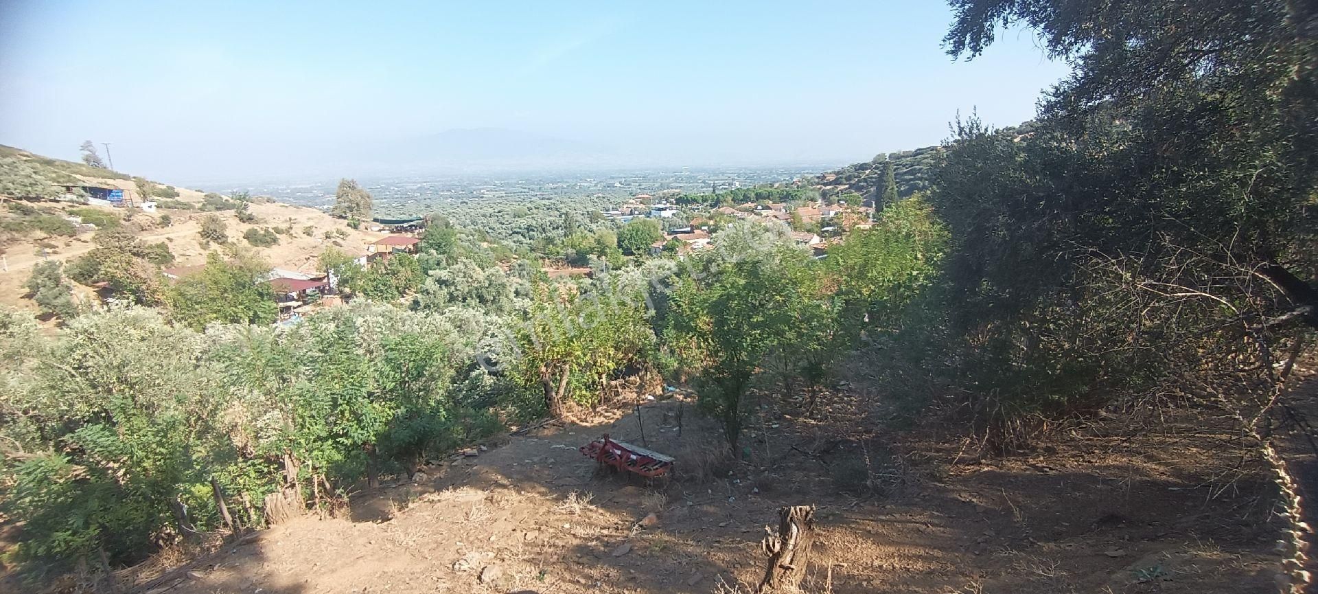 Ali Akdoğan Emlak Ofisinden Köy İçinde Satılık Avlulu Ev - Görsel 5