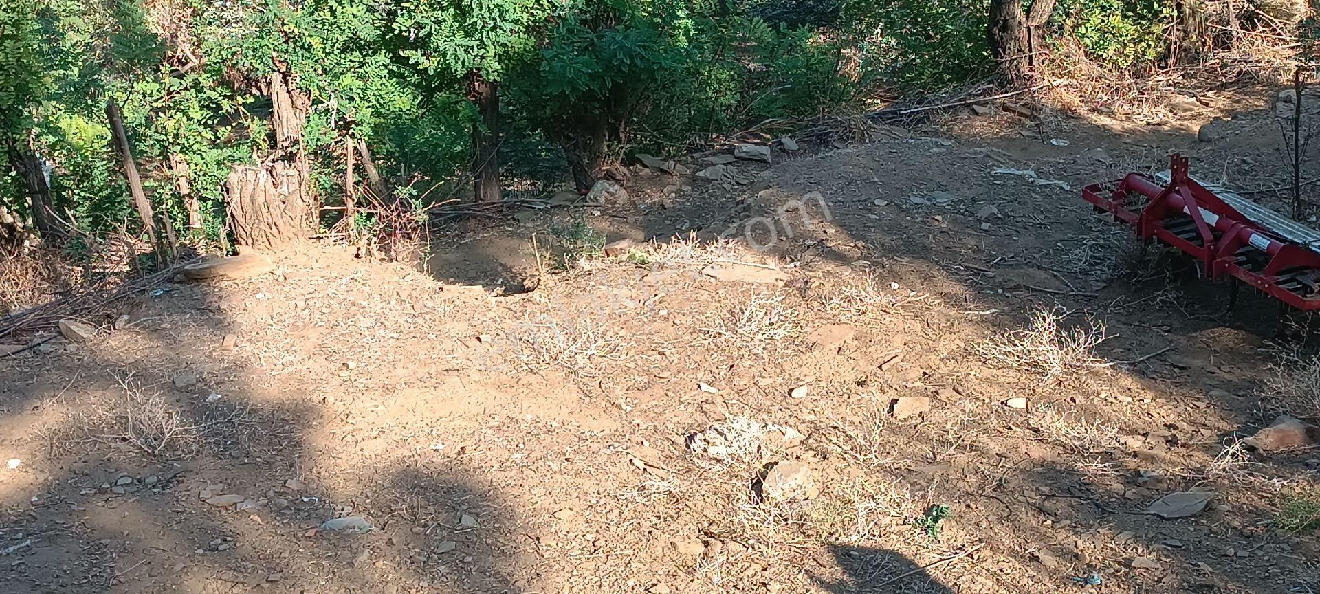 Ali Akdoğan Emlak Ofisinden Köy İçinde Satılık Avlulu Ev - Görsel 6