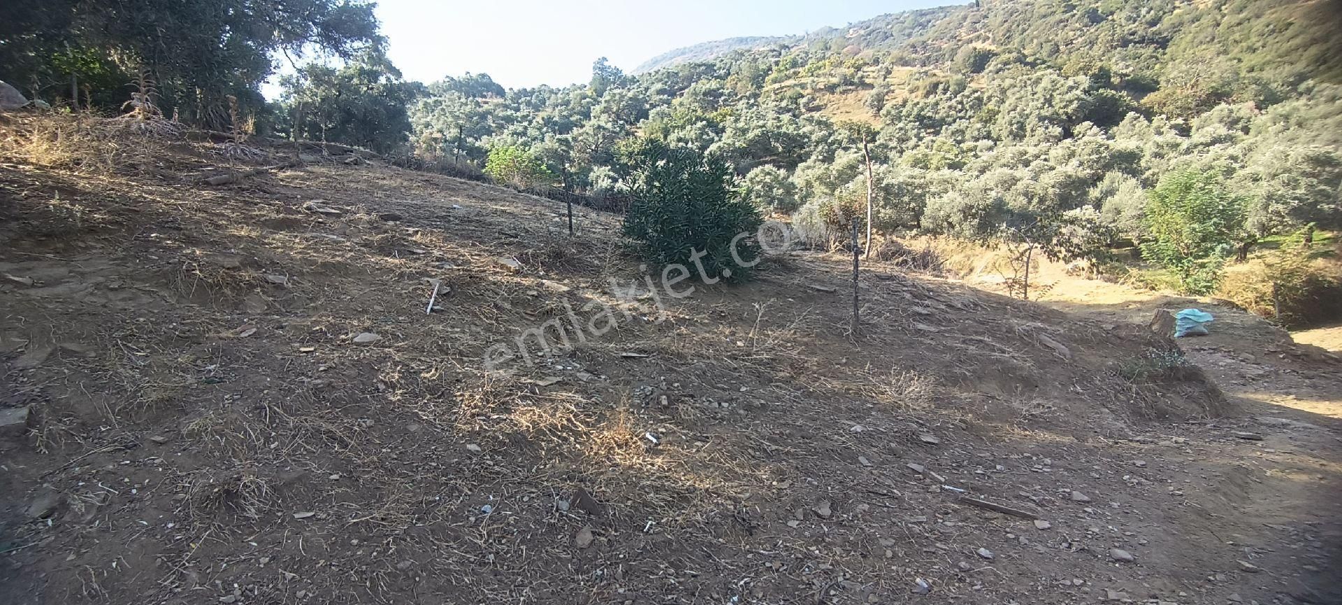 Ali Akdoğan Emlak Ofisinden Köy İçinde Satılık Avlulu Ev - Görsel 21