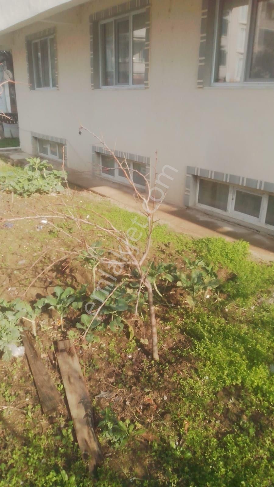 Acil Satilik Satılık Ev Fiyat Düştü 💃💃💃💃💃💃💃💃 - Görsel 11