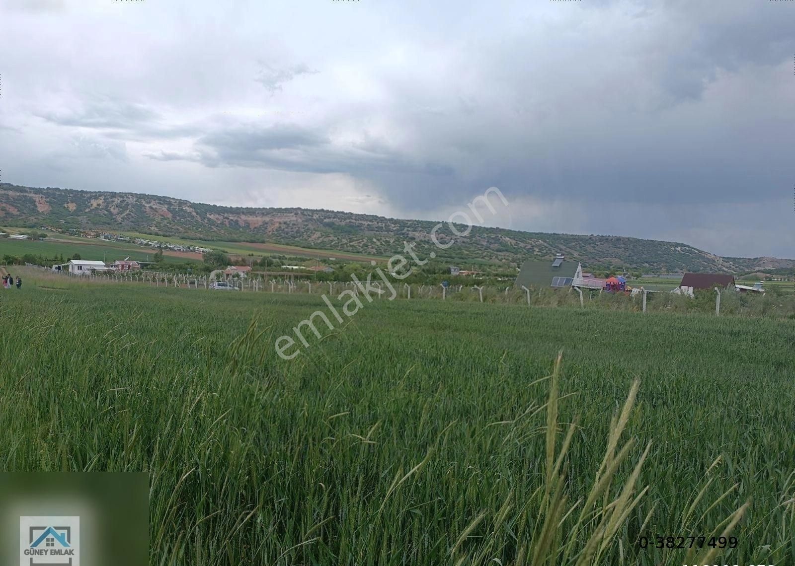 Odunpazarı Sarısungur Satılık Tarla Güney Emlak'tan Sarısungur'da Satılık Tarla