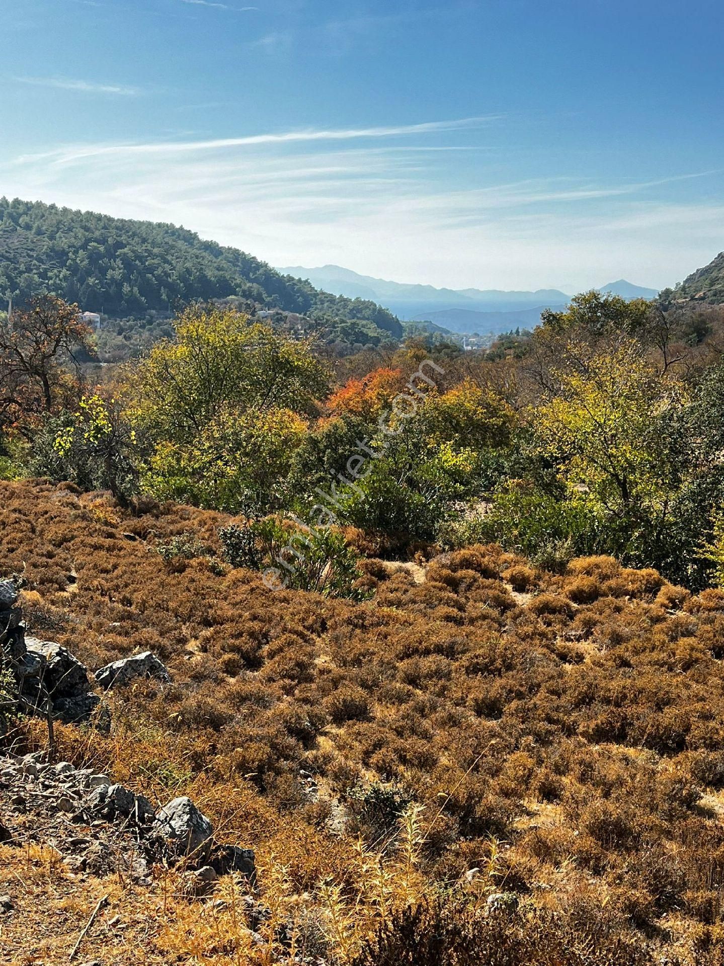 Marmaris Söğüt Satılık Tarla  Lotus'tan Söğütte Deniz Manzaralı 1.5 Dönüm Fırsat Satılık Tarla 