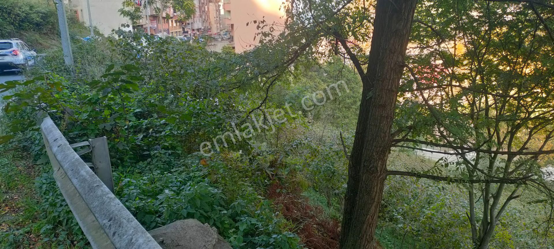 Akyazı Konak Ana Cadde Üzerinde Satılık Projesi Hazır Arsa - Görsel 33