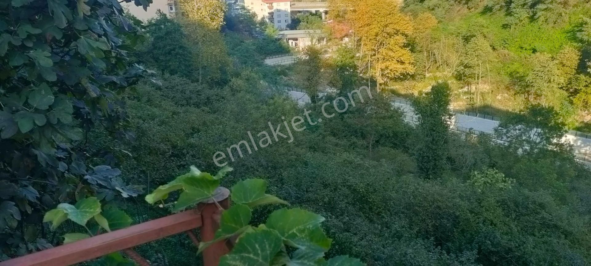 Akyazı Konak Ana Cadde Üzerinde Satılık Projesi Hazır Arsa - Görsel 6