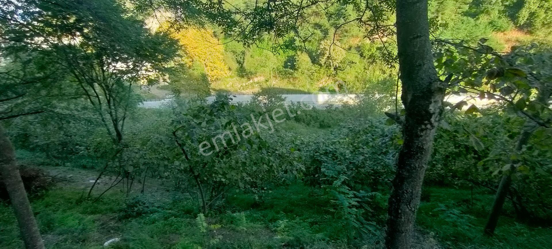 Akyazı Konak Ana Cadde Üzerinde Satılık Projesi Hazır Arsa - Görsel 15
