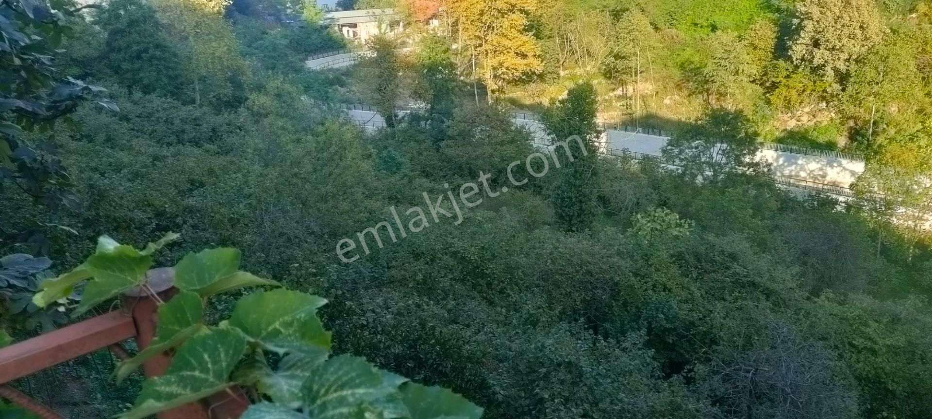 Akyazı Konak Ana Cadde Üzerinde Satılık Projesi Hazır Arsa - Görsel 4