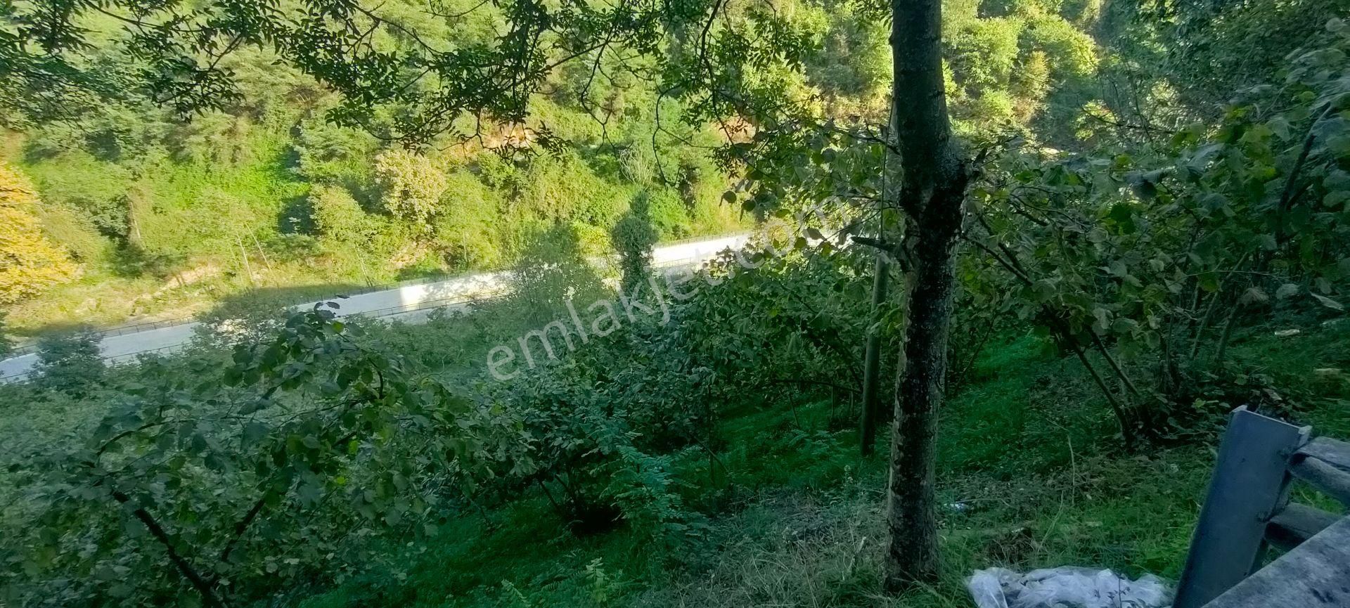 Akyazı Konak Ana Cadde Üzerinde Satılık Projesi Hazır Arsa - Görsel 28