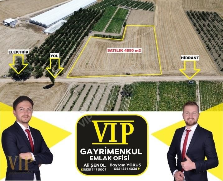 Elmalı Bayralar Satılık Tarla VIP GAYRİMENKUL' den 4850 m2 Elektrik Su Yol Mevcut Bayralar da