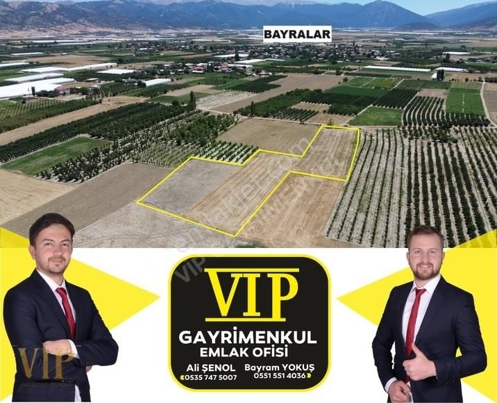 Elmalı Bayralar Satılık Tarla VIP GAYRİMENKUL' den Bayralarda 11.776 m2 Muhteşem Arazi