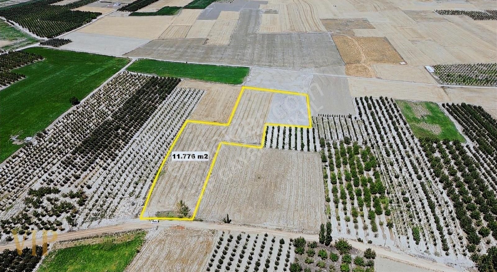 Vıp Gayrimenkul' Den Bayralarda 11.776 M2 Muhteşem Arazi - Görsel 2