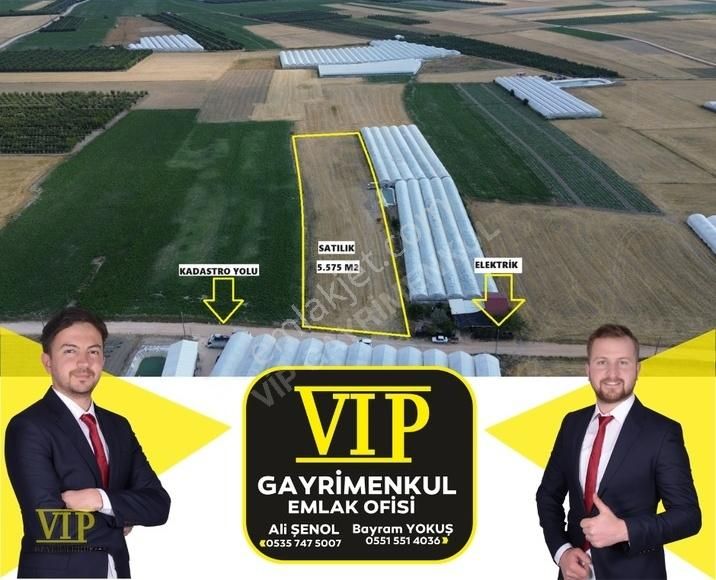 Elmalı Eymir Satılık Tarla VIP GAYRİMENKUL' den EYMİR Mah. 5575 m2 Elektrik Su Yol Mevcut