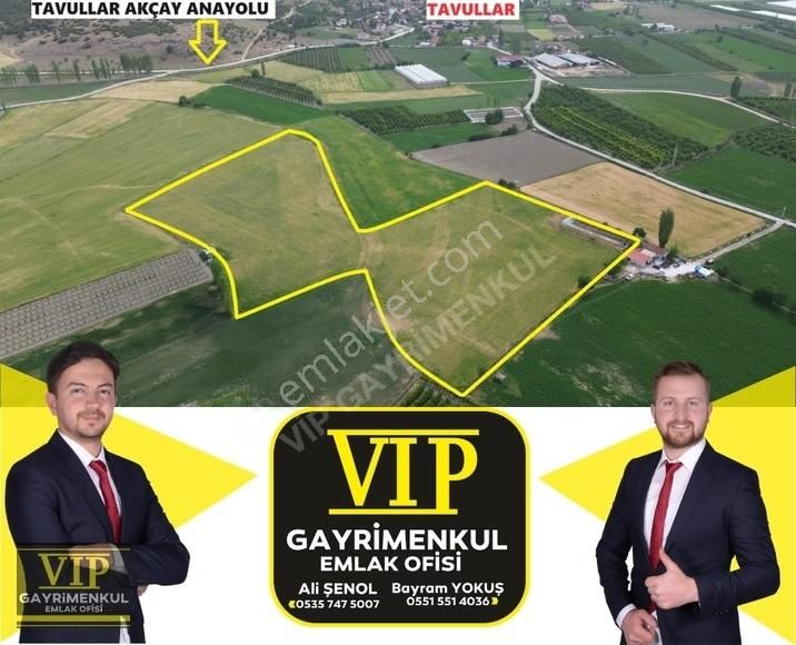 Elmalı Tavullar Satılık Tarla VIP GAYRİMENKUL' den Tavullar da Köy içinde 40.000 m2 TARLA