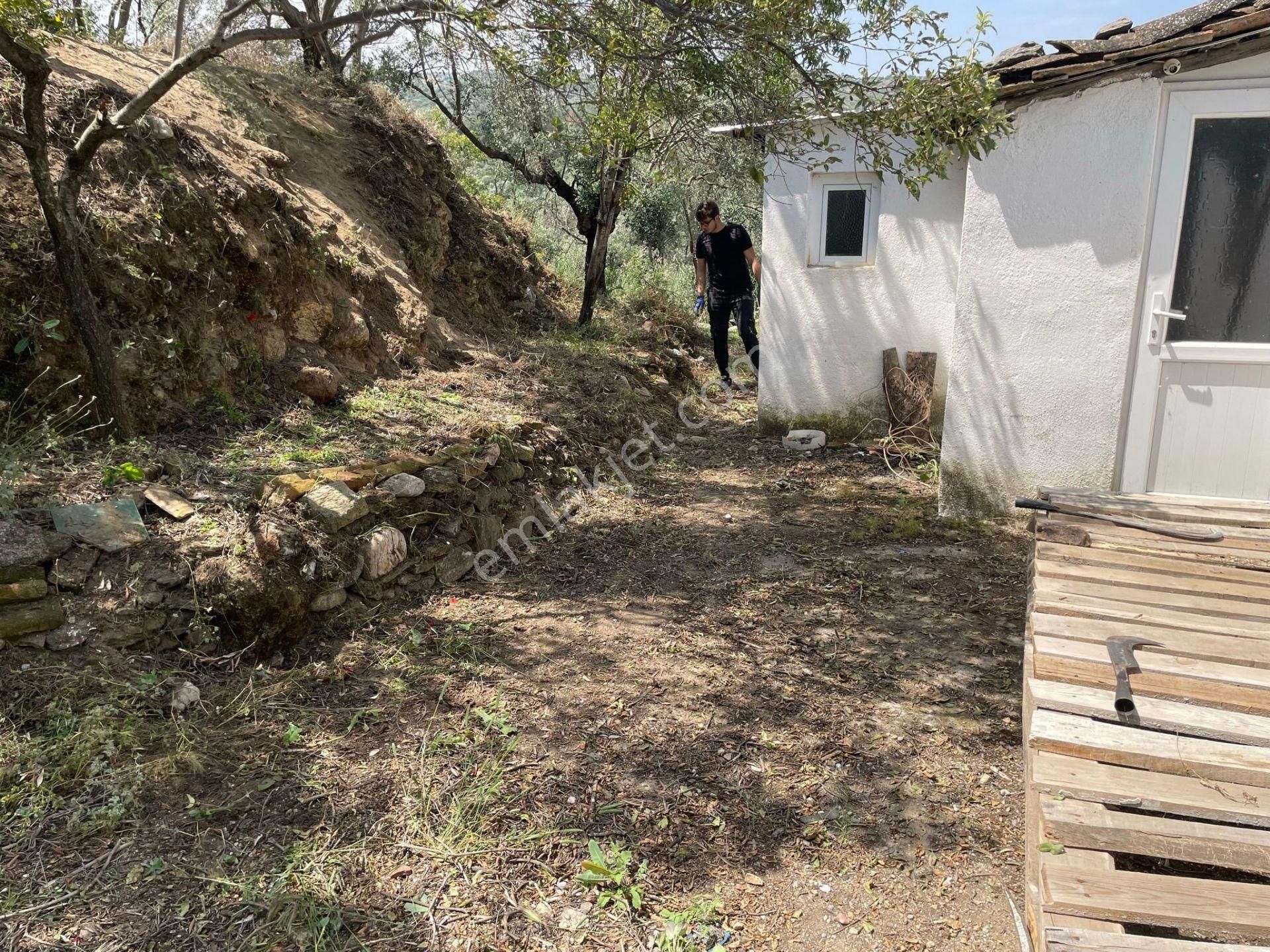 Aydın Nazilli Yöntem Emlaktan Yenipazar Çulhan Mahallesinde Satılık Müstakil Ev - Görsel 3