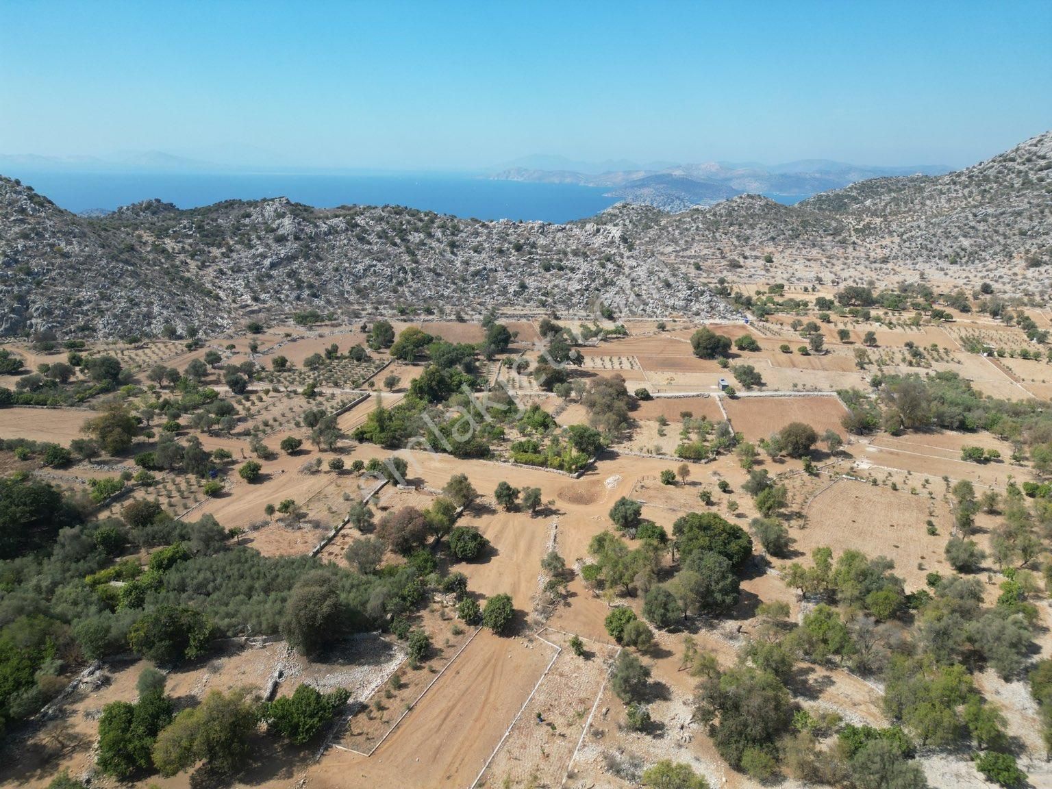 Marmaris Taşlıca Satılık Tarla  JOKER: Marmaris Taşlıca Yatırıma Uygun Dümdüz Satılık Tarla