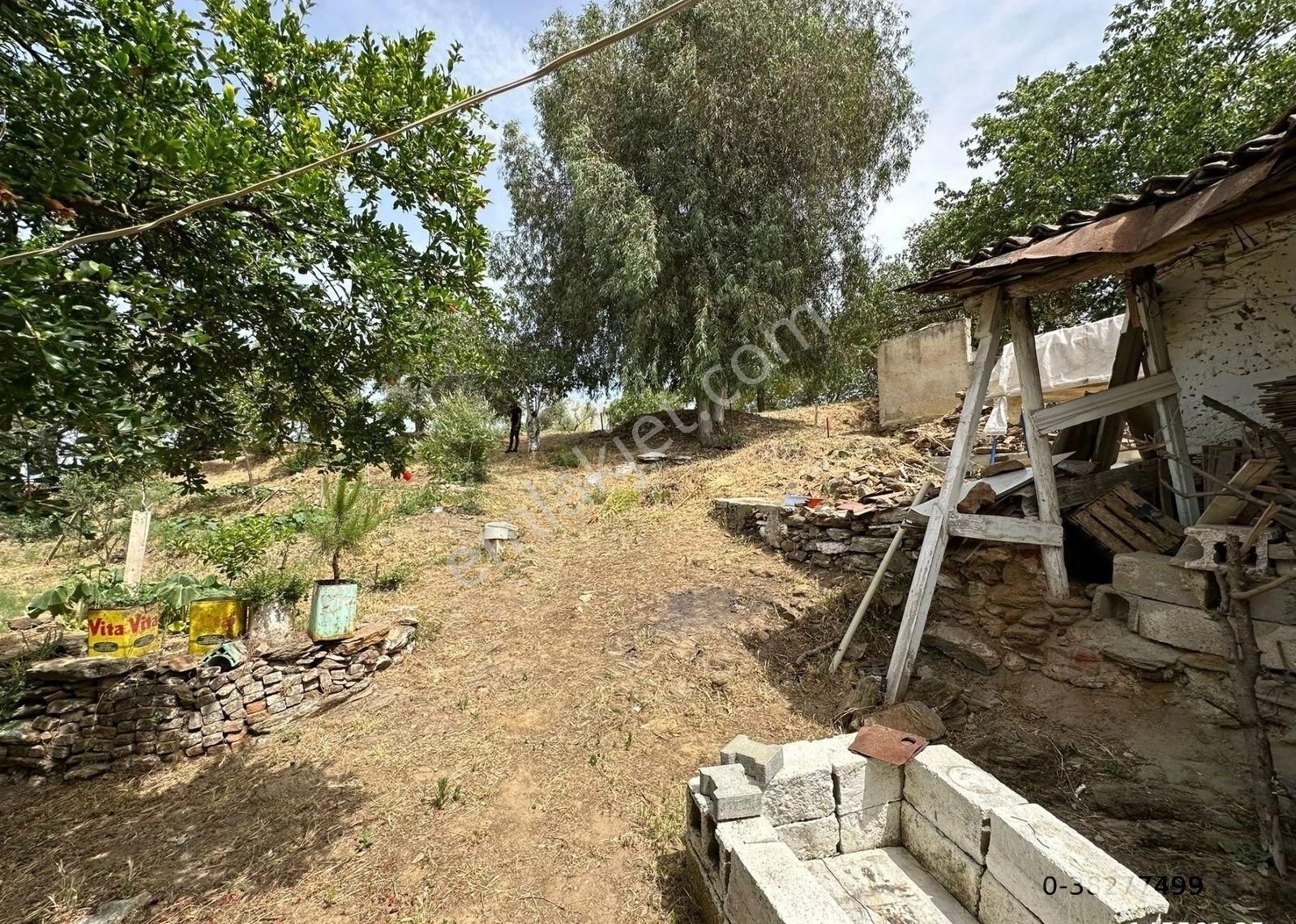 Koçarlı Orta Satılık Müstakil Ev Aydın Koçarlı Yeni Mah De 300 M² Müstakil Bahçeli Ev Ve Arsa