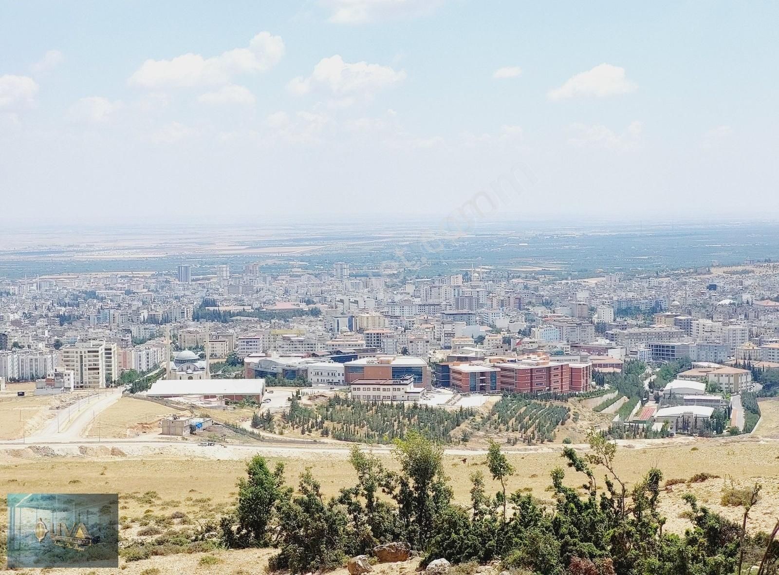 Kilis Merkez Mücahitler Satılık Tarla LİVA GAYRİMENKUL'DEN YENİ TOKİ YANINDA İMAR İÇİ YATIRIMLIK ARAZİ