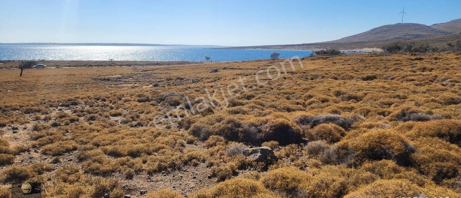 Gökçeada Eşelek Köyü Satılık Tarla ÇANAKKALE GÖKÇEADA GÜZELCEKOY'DA SATILIK TARLA