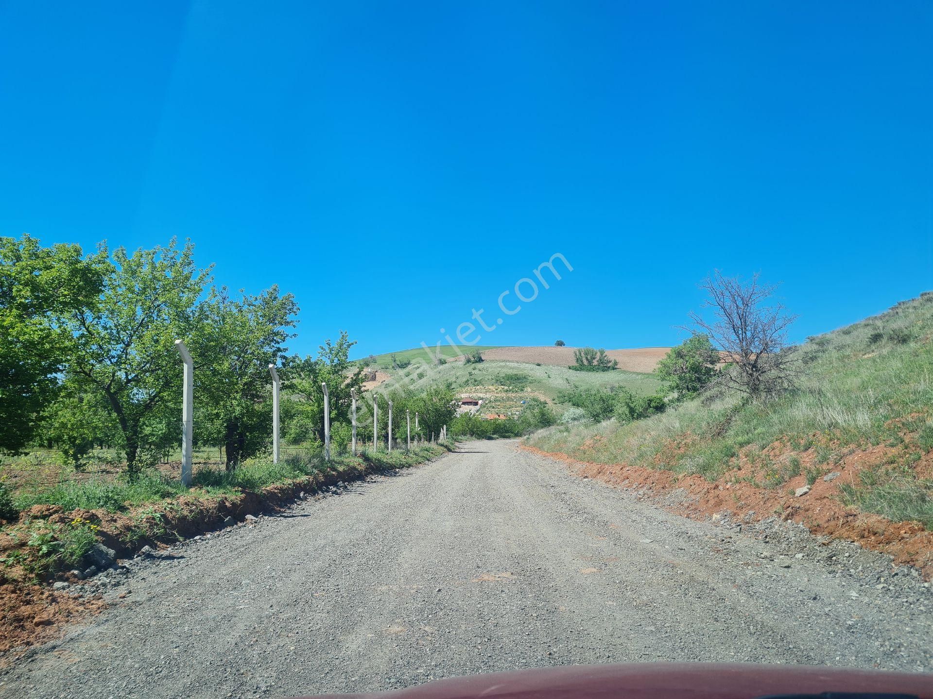 Altındağ Peçenek Satılık Bağ & Bahçe Peçenekte 615 Metre Kadastro Yoluna Cepheli Tapulu Arsa