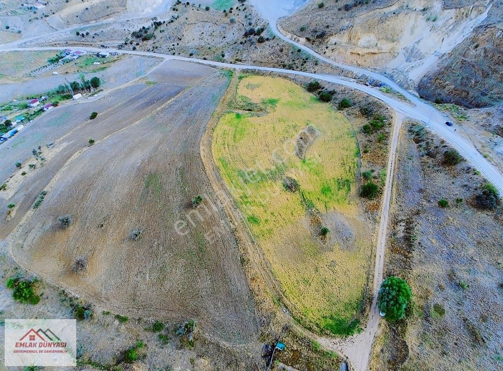 Ayaş Başayaş Satılık Tarla Ayaş Başayaşta Asfalt Kenarı Süper Konumda Tarla