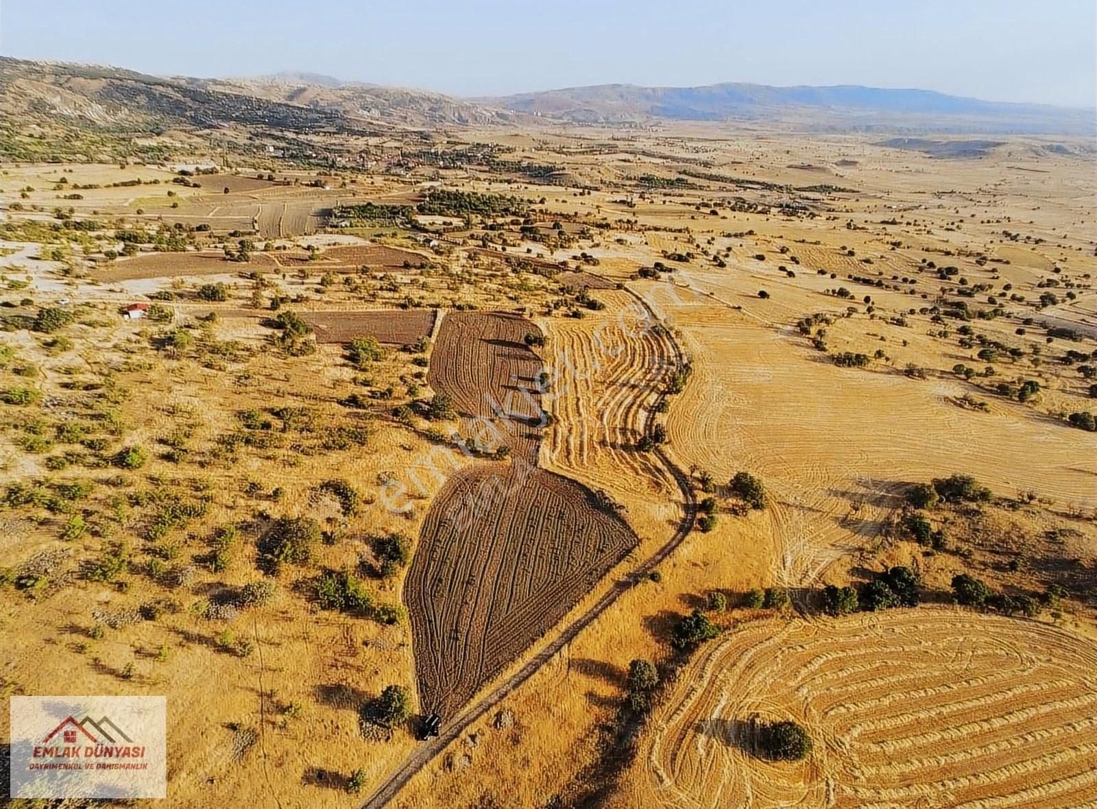 Ayaş Gökçebağ Satılık Tarla Ayaşta Tek Tapu Kadastro Yolu Kenarı 50 Dönüm Tarla