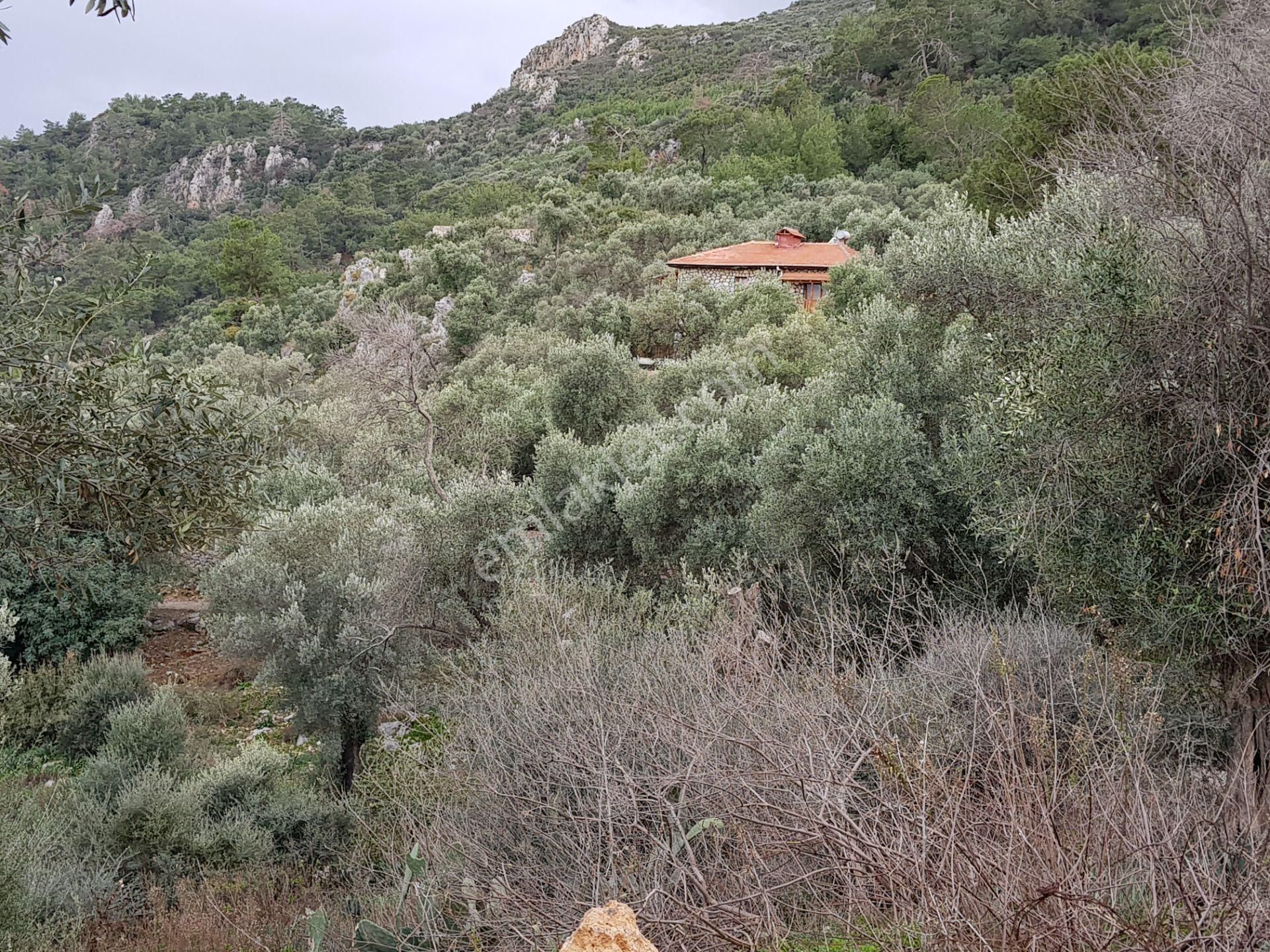 Muğla Ortaca Fevziye'de Satılık 27.250 M2 Deniz Manzaralı Tarla - Görsel 11