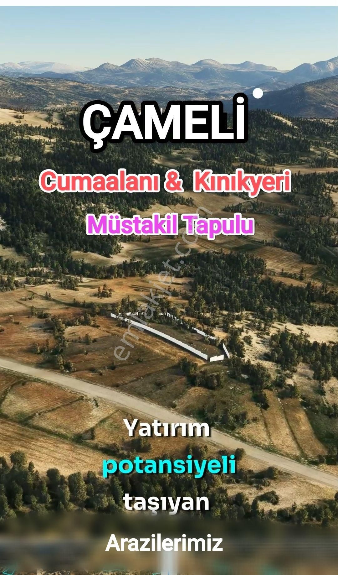 Çameli Kınıkyeri Satılık Tarla DENİZLİ ÇAMELİ KINIKYERİ YATIRIMLIK FIRSAT SATILIK TARLA