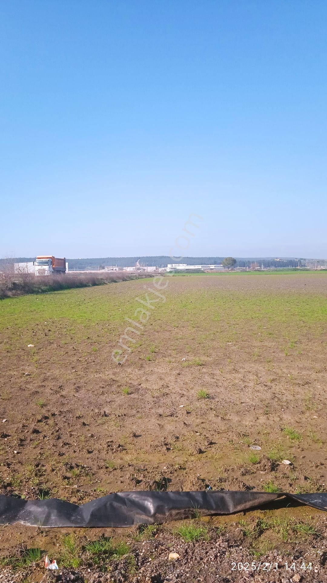 İzmir Pancar Da 20 Dönüm Tek Tapu - Görsel 7