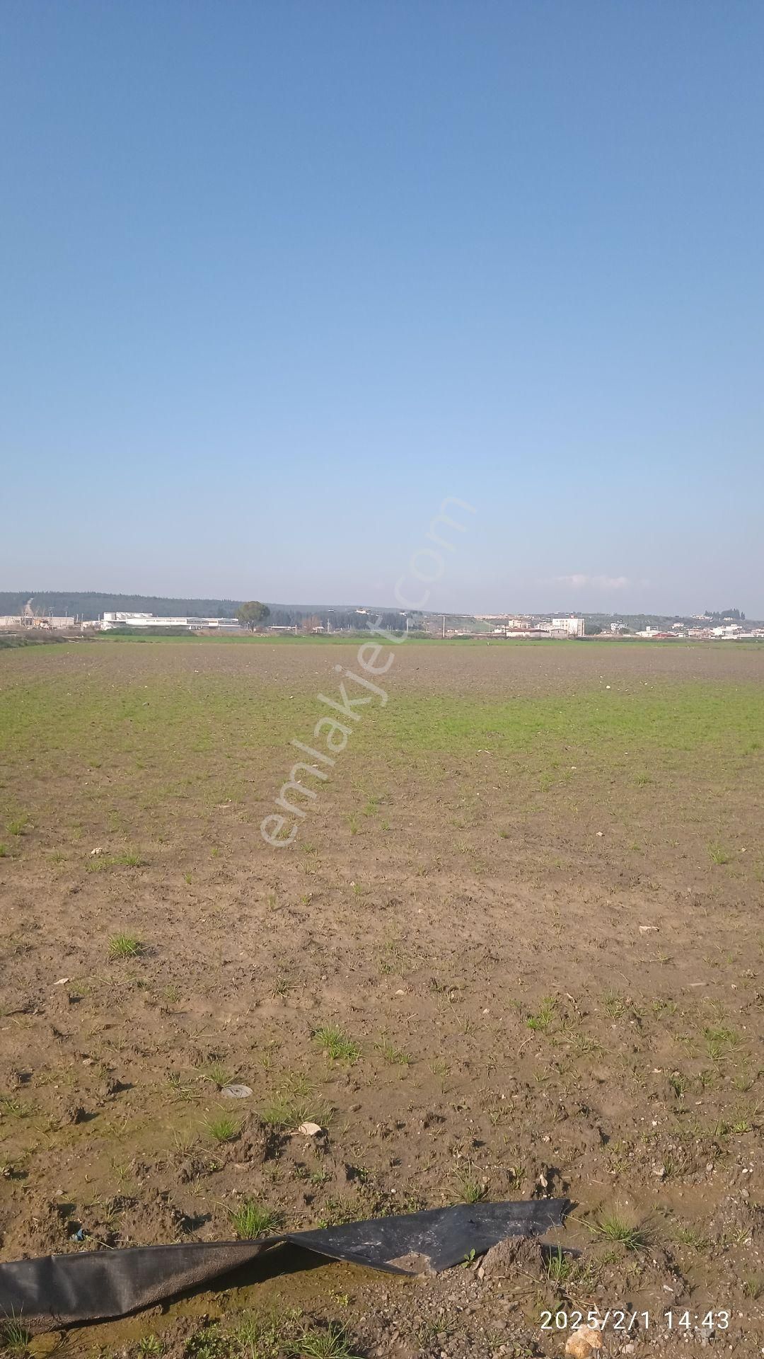 İzmir Pancar Da 20 Dönüm Tek Tapu - Görsel 3