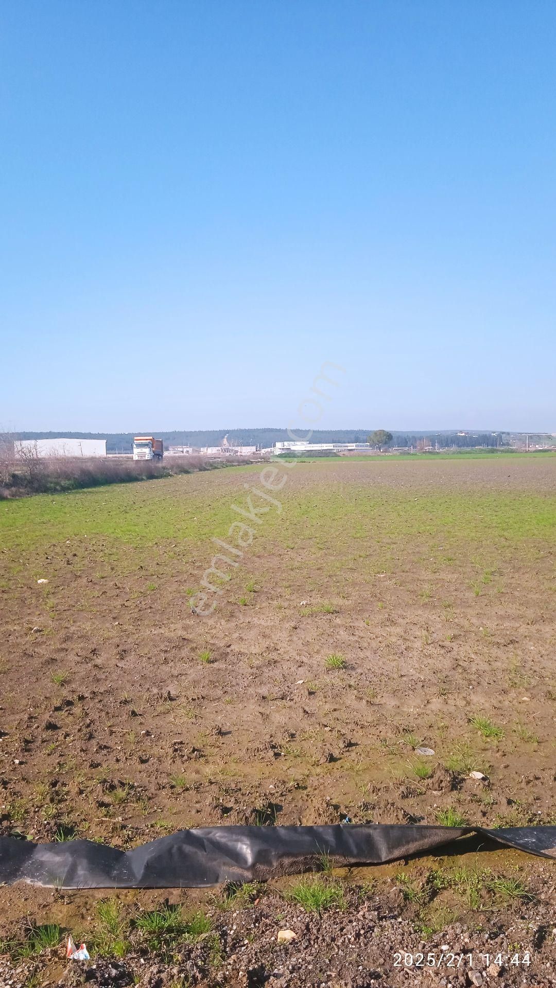 İzmir Pancar Da 20 Dönüm Tek Tapu - Görsel 6