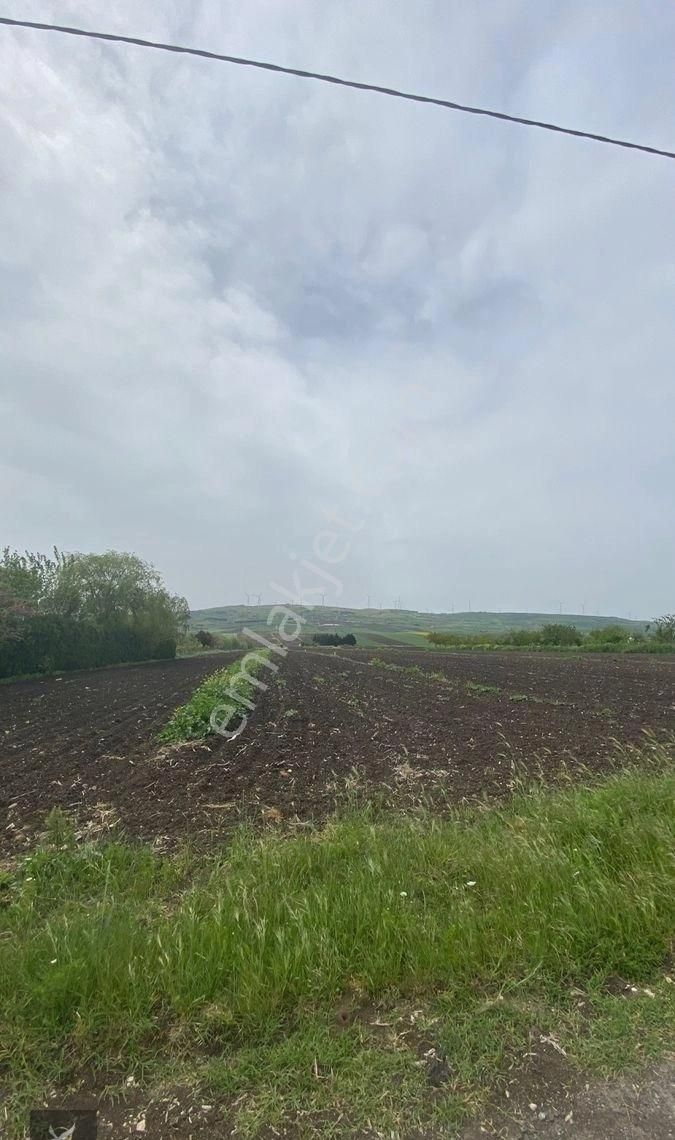 Silivri Çeltik’de Köye Yakın Çaplı Muvafakatnameli Tarla - Görsel 6