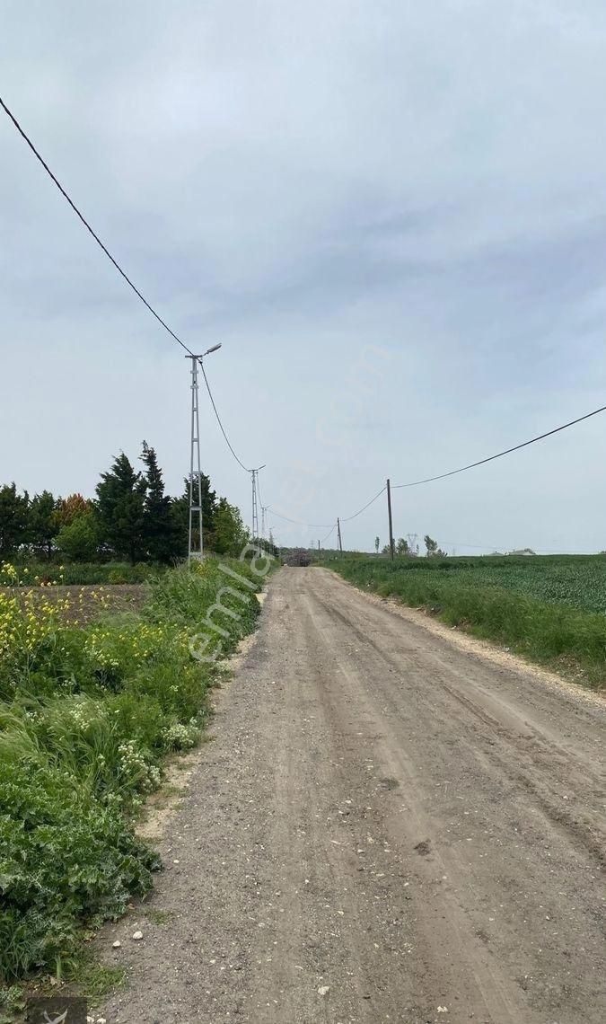 Silivri Çeltik’de Köye Yakın Çaplı Muvafakatnameli Tarla - Görsel 4