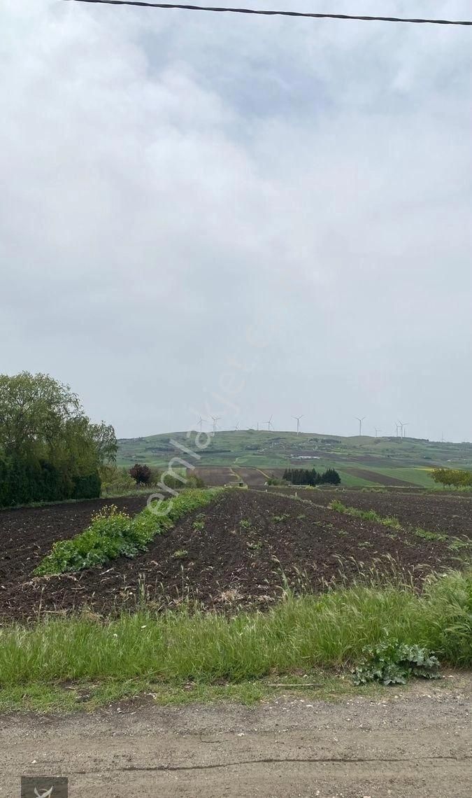 Silivri Çeltik’de Köye Yakın Çaplı Muvafakatnameli Tarla - Görsel 8