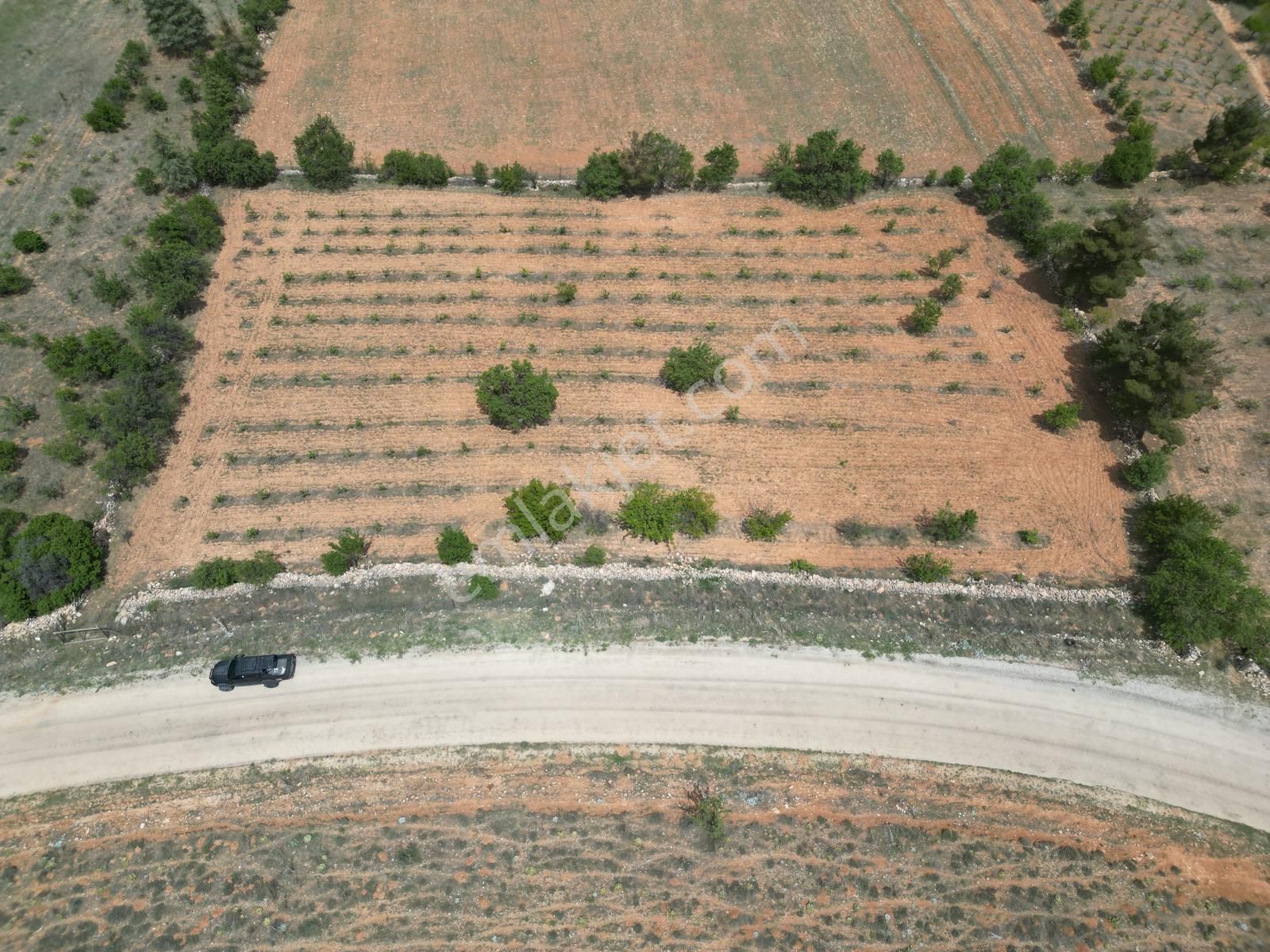 Korkuteli Avdan Satılık Bağ & Bahçe  Korkuteli/Avdan'da Satılık 5445 m2 Üzüm Bağı (Araç Takası Uygun)