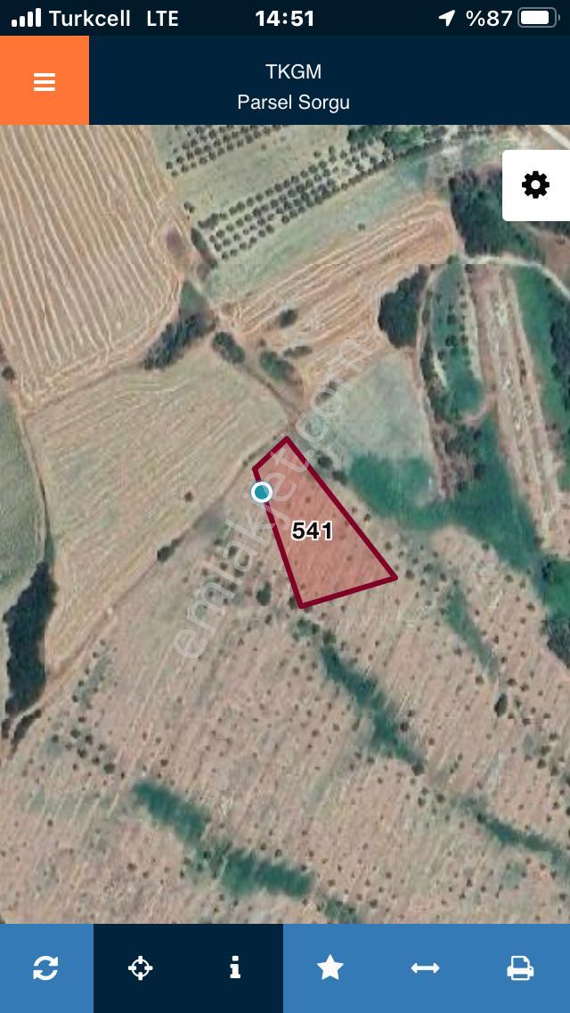 Şarköy De Işık Emlaktan Şenköy Mah De 2900 M2 Çevizlik - Görsel 20