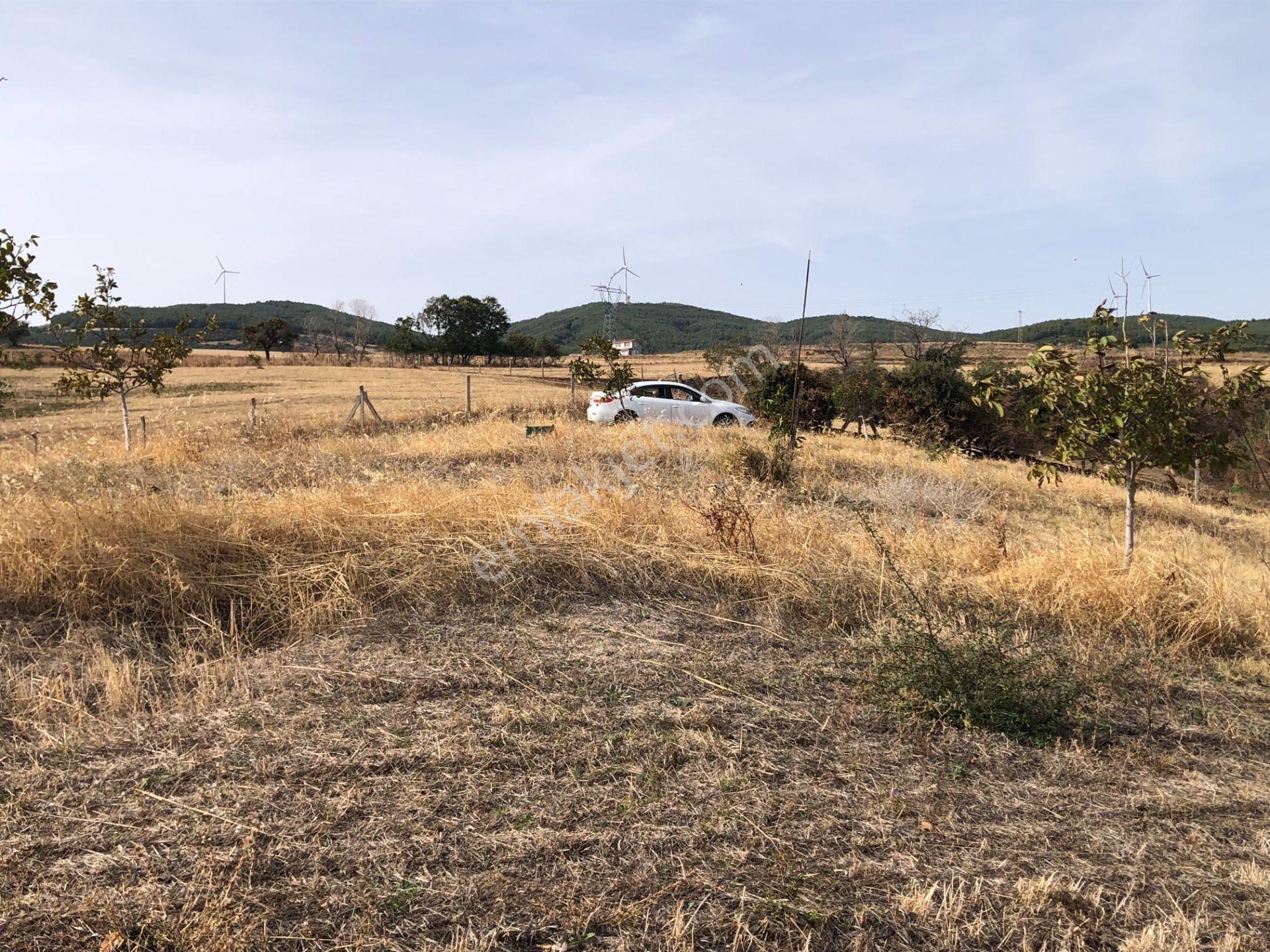 Şarköy De Işık Emlaktan Şenköy Mah De 2900 M2 Çevizlik - Görsel 18