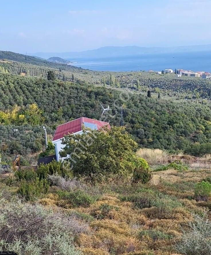 Armutlu Bayır Satılık Konut İmarlı  Armutlu Çukurtarla Mevkiinde Satılık İmarlı Arsa