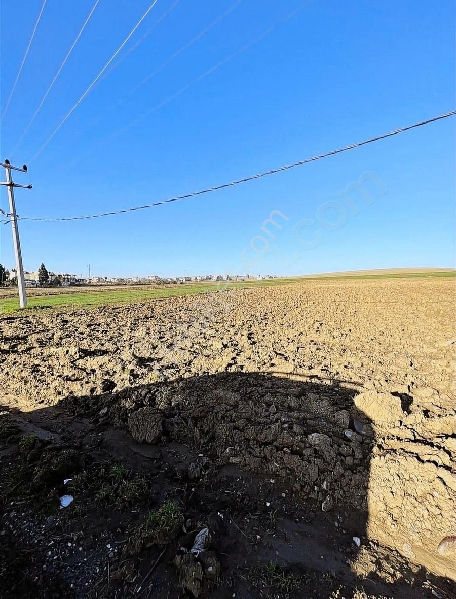 Marmaraereğlisi Çeşmeli Satılık Tarla Otobana Cephe Deniz Manzaralı Villa İmarlı Satılık Arsa