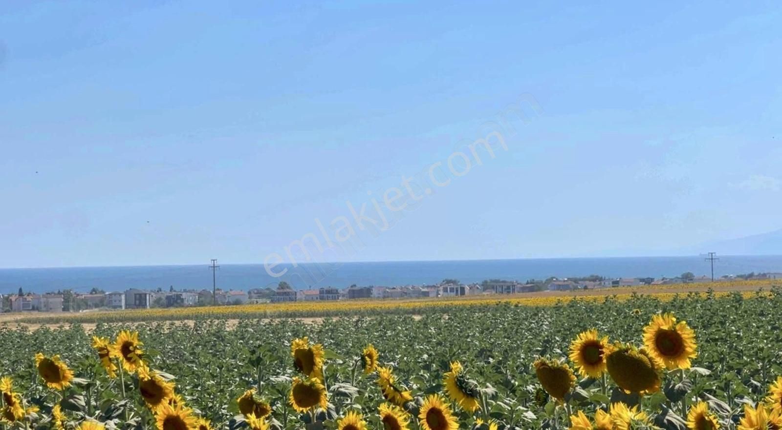 Marmaraereğlisi Çeşmeli Satılık Tarla Taksitli Satış İmkanıyla Deniz Manzaralı İmara Yakın Satılk Arsa