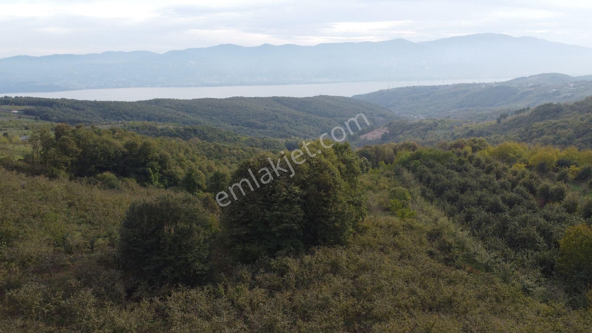 Serdivan Aşağıdereköy Satılık Tarla Serdivan Aşağıdereköyde Sapanca Gölü Manzaralı Satılık Arazi