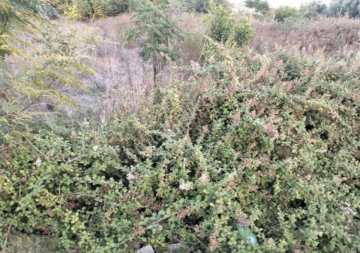 Ortaca'da Satılık Kupon Arsa - Görsel 2