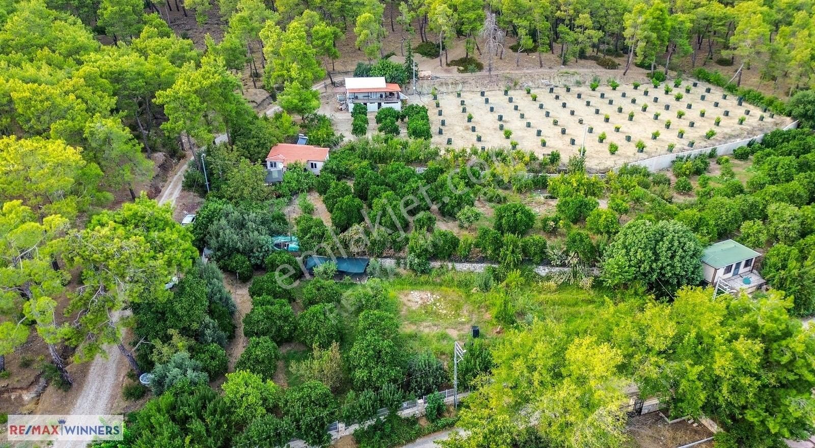 Konyaaltı Doyran Satılık Tarla DOYRAN'DA 2000 M2 ARAZİ ÜZERİNDE 2+1 SATILIK EV