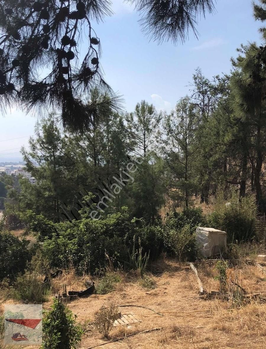 Anamur Göktaş Satılık Konut İmarlı Göktaş Mah. Muhteşem Konum Villa Arsası