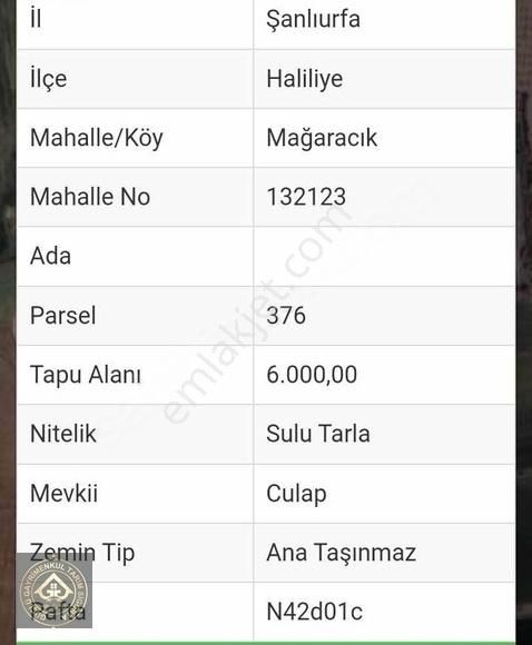 Haliliye Mağaracık Satılık Tarla HALİLİYE MAĞARACIK SULU TARLA MÜSTAKİL TAPU