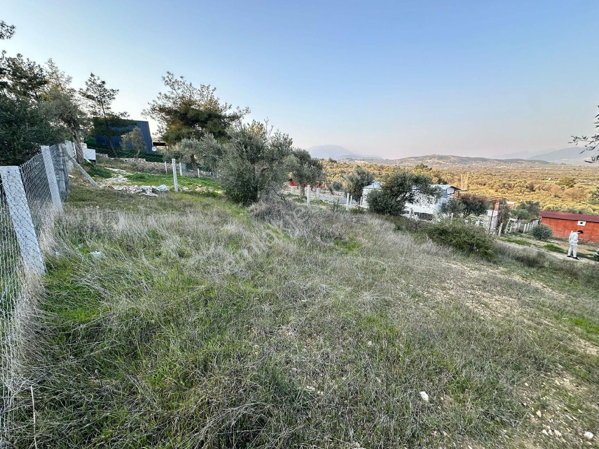 Torbalı Capak Mirasdan Bolme 250 M2 Elektrik-su-telcit