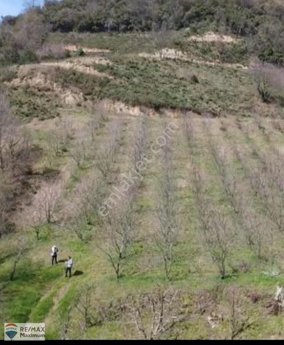 Gölcük Şirinköy Satılık Bağ & Bahçe KOCAELİ GÖLCÜK ŞİRİNKÖY DAMLAR MEVKİNDE 6.881,21 M2 SATILIK ARSA