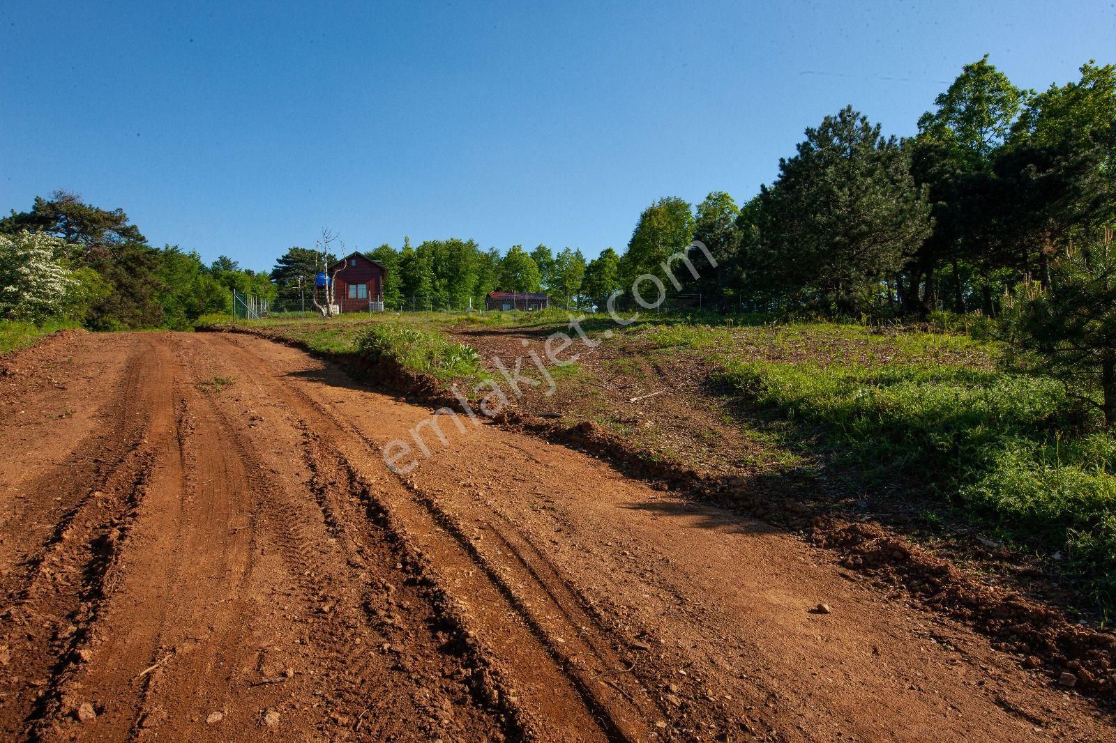 Yenişehir Ebeköy Satılık Tarla Bursa Yenişehir Ebede Satılık 11800m2 Yatırımlık Arazi