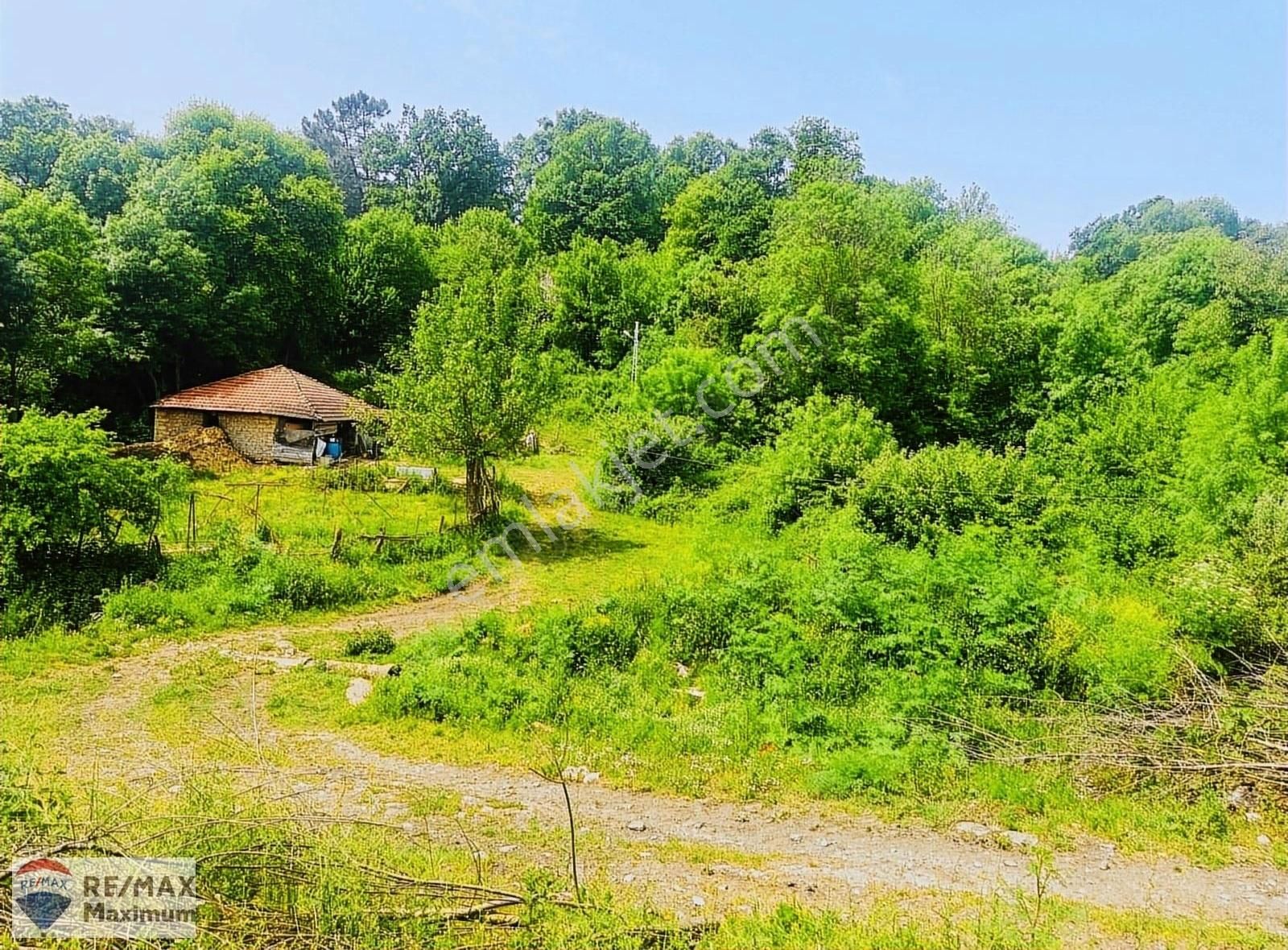 Kandıra Balcı Satılık Tarla İmarla köy içi arsa